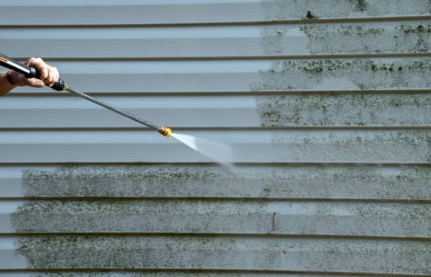 Best Affordable Power Washing  in San Felipe, TX