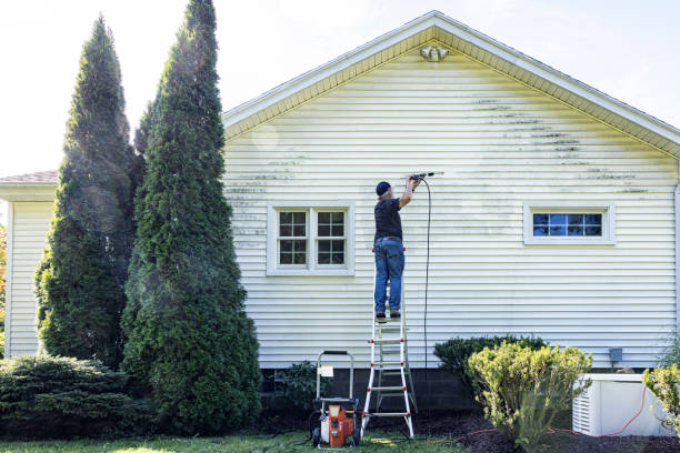 Pressure Washing Estimates in San Felipe, TX